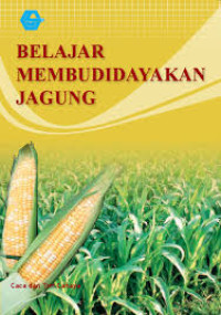 Image of BELAJAR MEMBUDIDAYAKAN JAGUNG