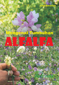 Image of Mengenal Tumbuhan ALFALFA