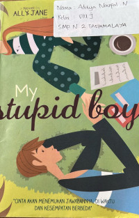 Image of My Stupid Boy
